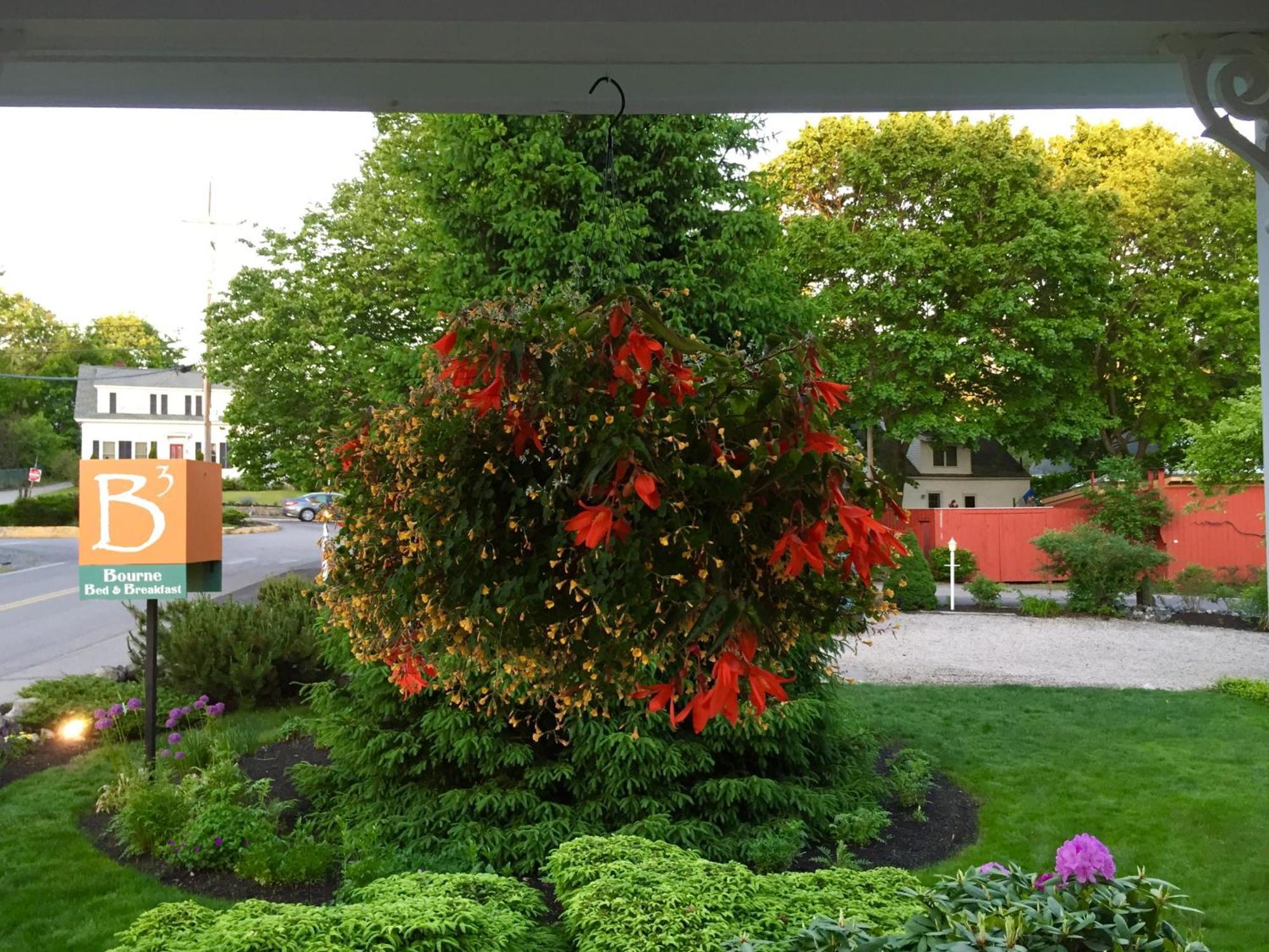 Bourne Bed And Breakfast Ogunquit Exterior photo